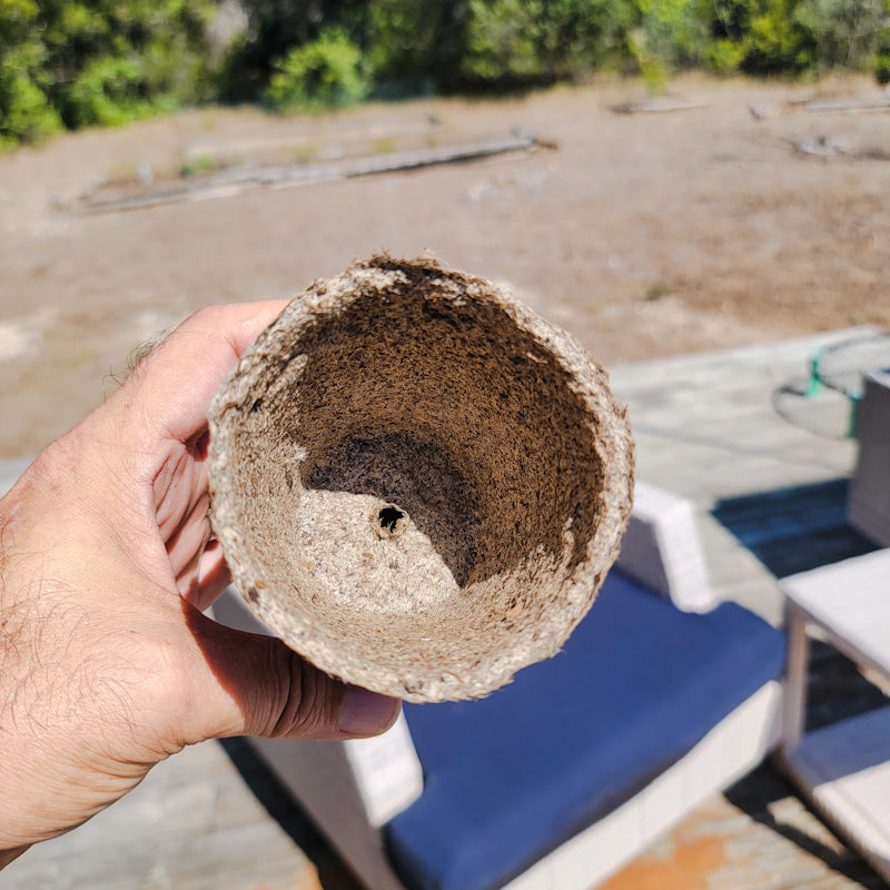 plant pots made from cow manure Moo Pots – Biodegradable Seed Starting Trays Made from Cow Manure – Organic Tejas