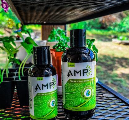 AMP Microalgae