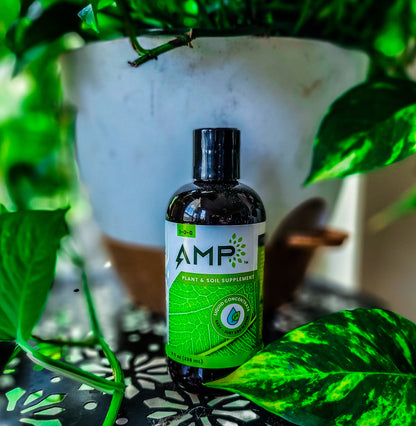 AMP Microalgae