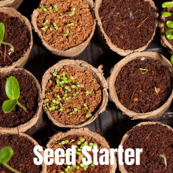 Lone Star Seed Starter Kit