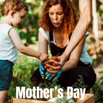 Mother's Day Bundle